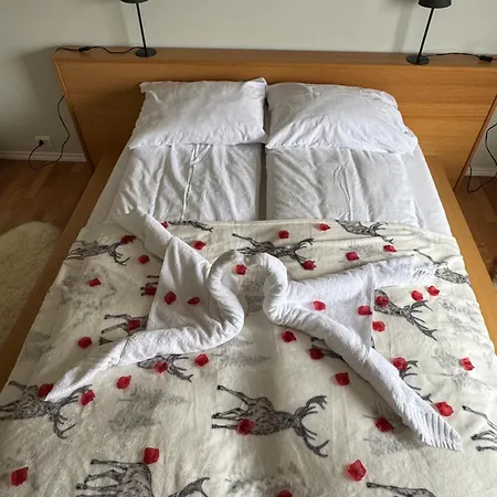 With A Beautiful View In The Center Of